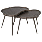 Bean Bronze Metal Coffee Tables (Set of 2) by Richmond Interiors