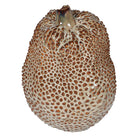 Durian Vase by Kensington