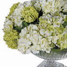 Green and White Grande Hydrangea in Glass Vase by Kensington