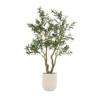 Faux Olive Tree in White Pot by Abode