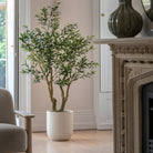 Faux Olive Tree in White Pot by Abode