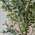 Faux Olive Tree in White Pot by Abode