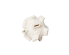 Orb Sculpture Small  - Ivory Resin