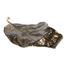 Vega Curl Leaf by Kensington