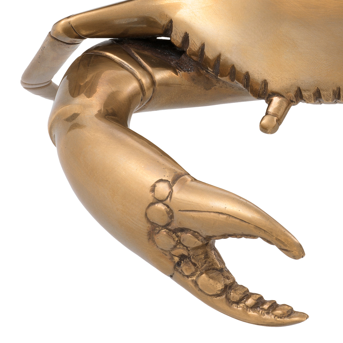 Object Crab vintage brass finish by Eichholtz