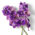 Bouquet of Vanda Orchids purple real touch 24 pcs by Eichholtz