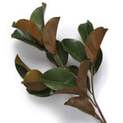 Bundle of Magnolia leaves 24 pcs by Eichholtz