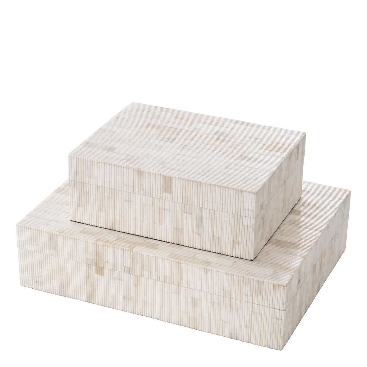 Box Scoop L natural bone by Eichholtz