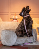 Pet bed Bingo clay chenille by Richmond Interiors