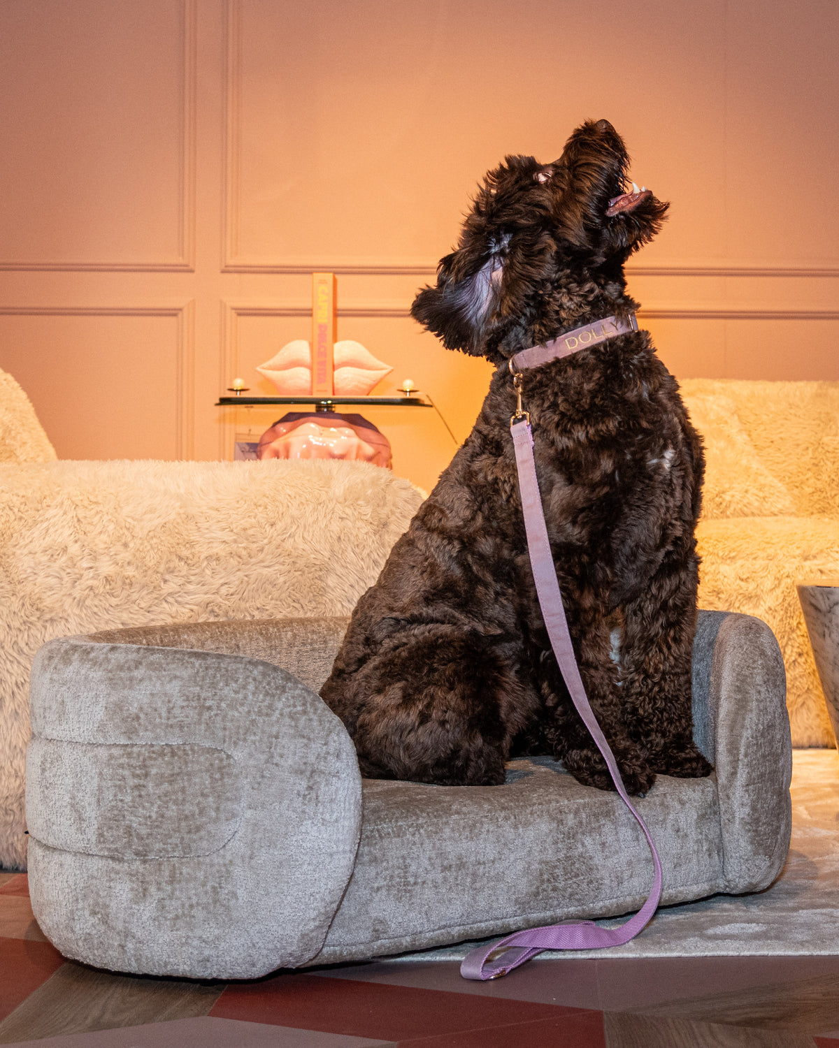 Pet bed Bingo clay chenille by Richmond Interiors