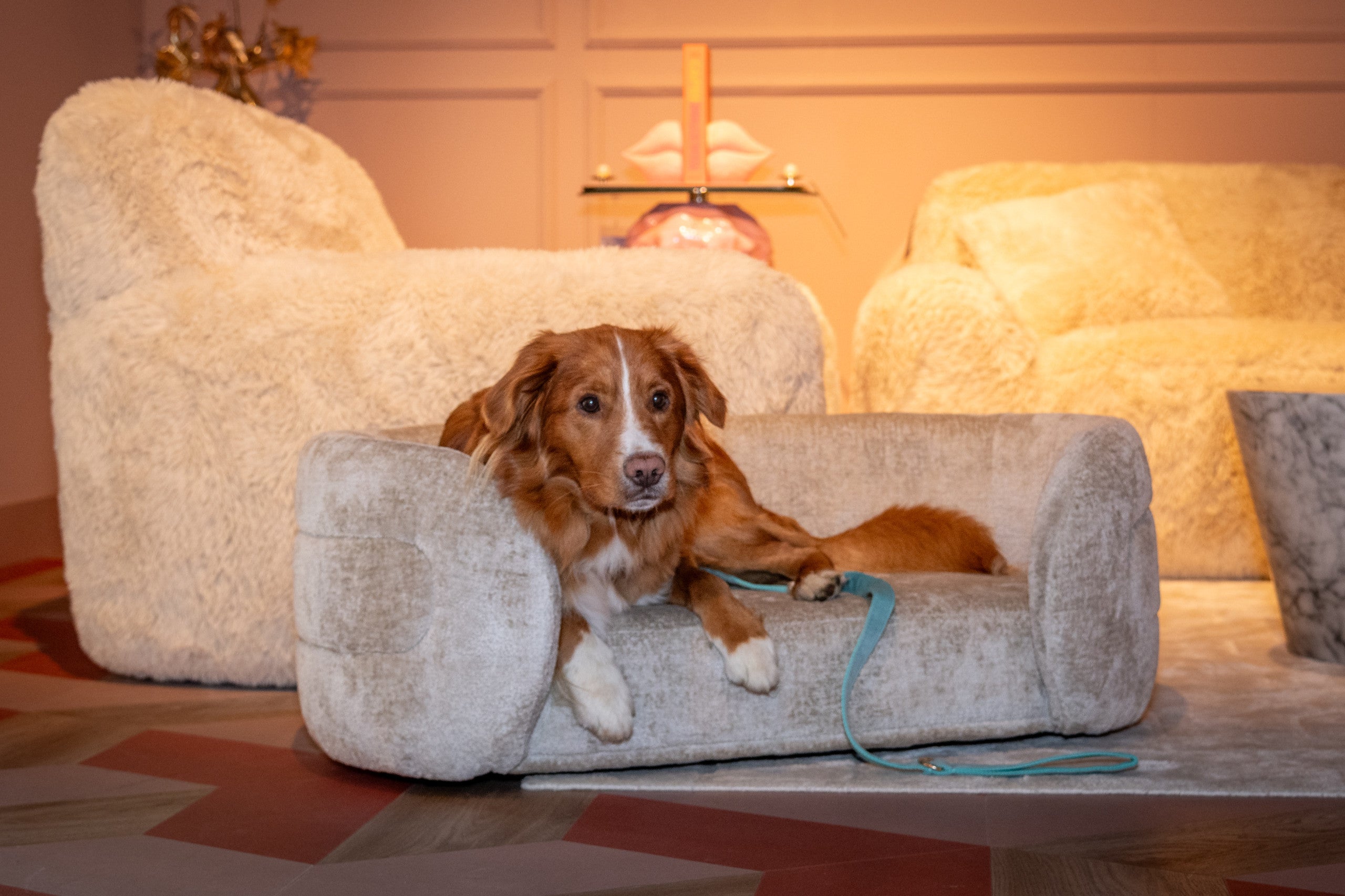 Pet bed Bingo clay chenille by Richmond Interiors
