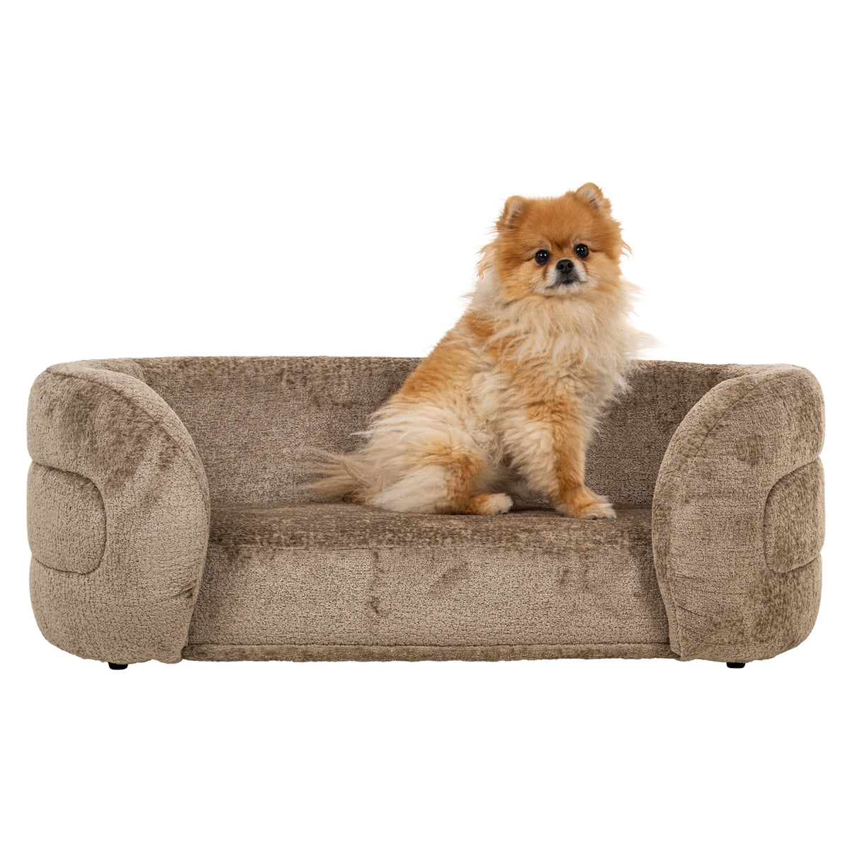 Pet bed Bingo taupe chenille by Richmond Interiors