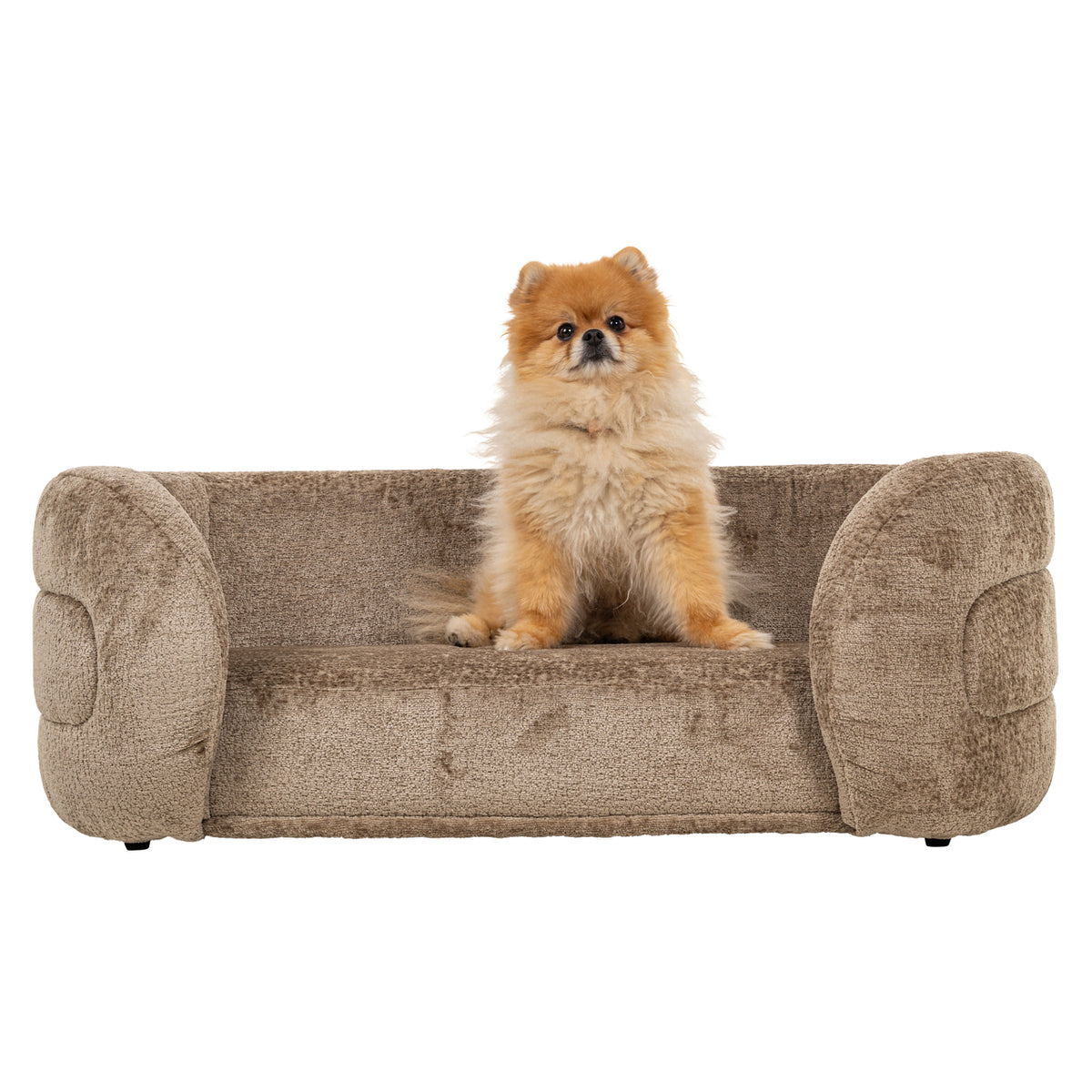 Pet bed Bingo taupe chenille by Richmond Interiors