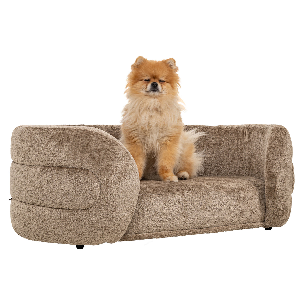 Pet bed Bingo taupe chenille by Richmond Interiors