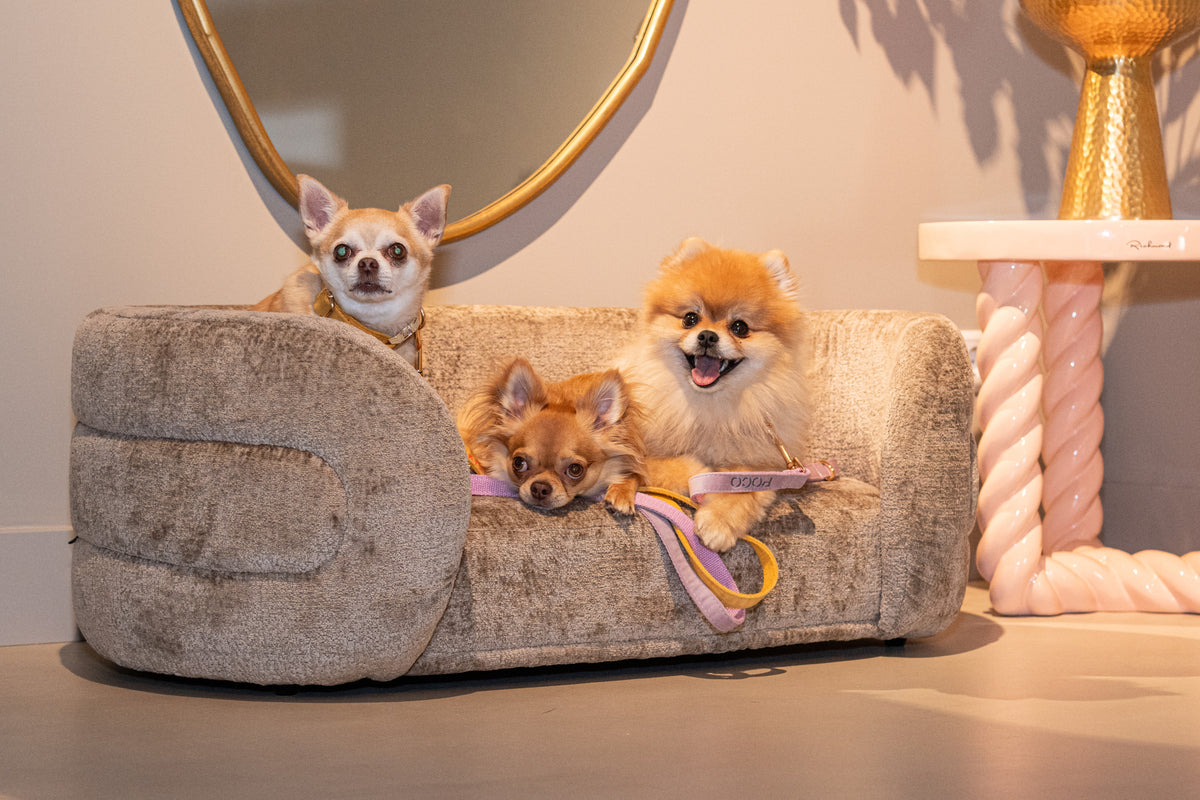 Pet bed Bingo taupe chenille by Richmond Interiors