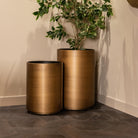Dira Brushed Gold Planter - 50cm by Richmond Interiors