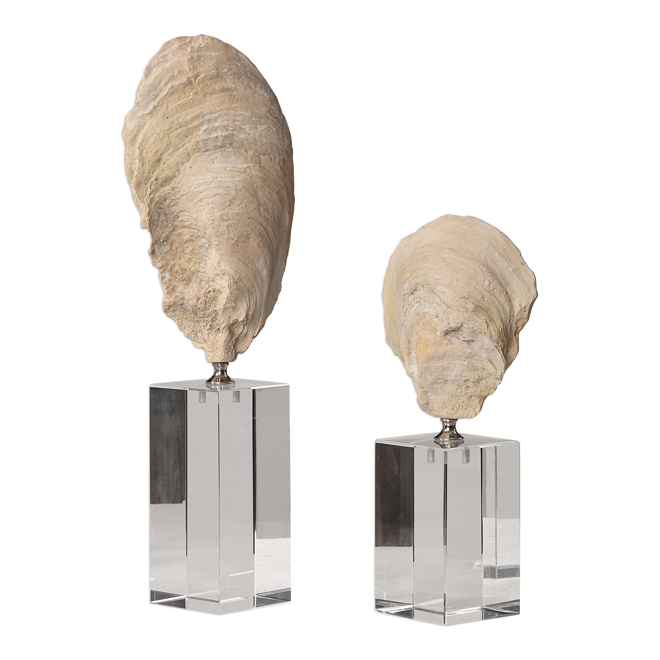 Oyster Shell Sculptures - Set of 2 by Uttermost