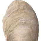 Oyster Shell Sculptures - Set of 2 by Uttermost