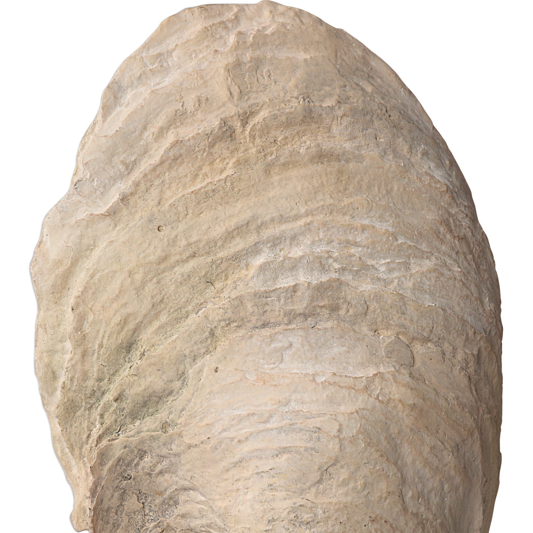 Oyster Shell Sculptures - Set of 2 by Uttermost