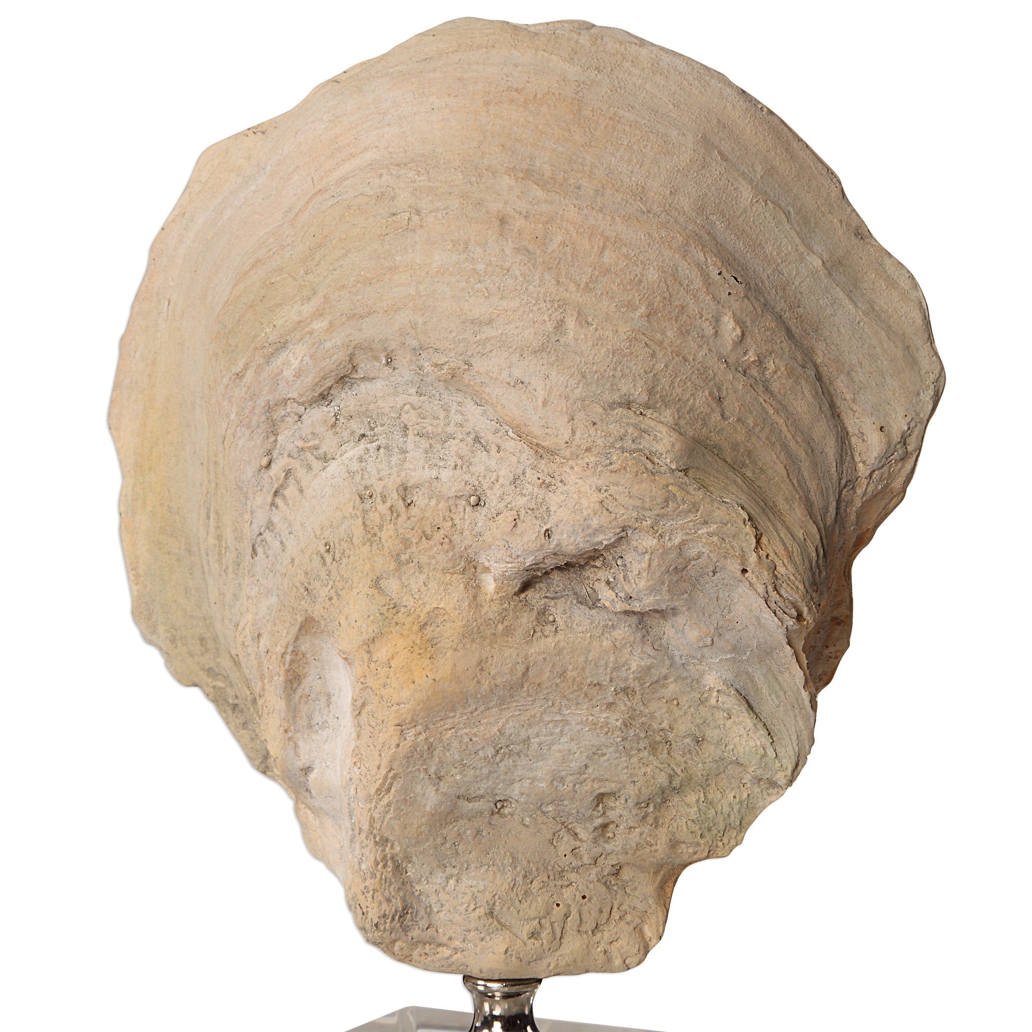 Oyster Shell Sculptures - Set of 2 by Uttermost