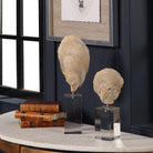 Oyster Shell Sculptures - Set of 2 by Uttermost