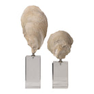 Oyster Shell Sculptures - Set of 2 by Uttermost