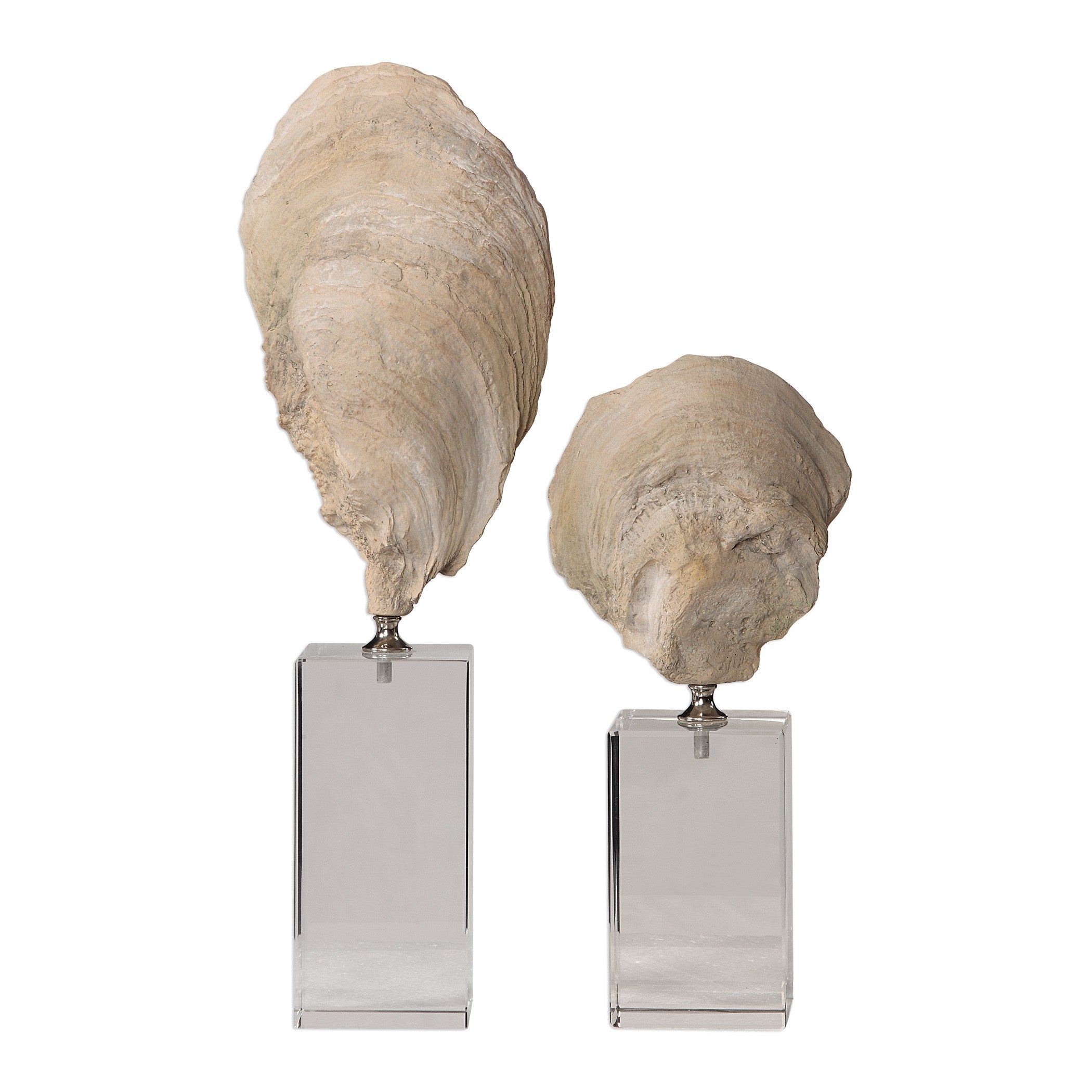 Oyster Shell Sculptures - Set of 2 by Uttermost
