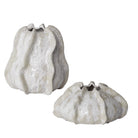 Urchin Textured Ivory Vases - Set of 2 by Uttermost