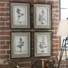 Casual Grey Study Framed Art - Set of 4 by Uttermost