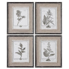 Casual Grey Study Framed Art - Set of 4 by Uttermost