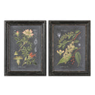 Midnight Botanicals Wall Art - Set of 2 by Uttermost