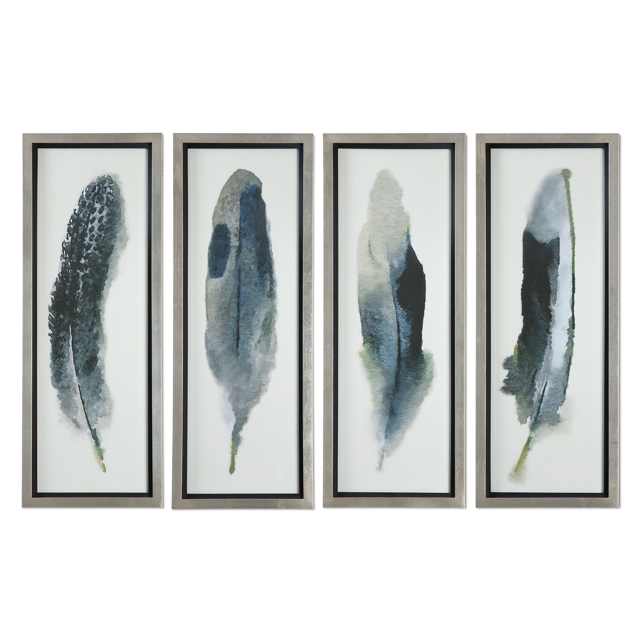 Feathered Beauty Prints - Set of 4 by Uttermost