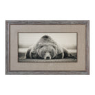 Deep Sleep Bear Print by Uttermost