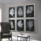 Foliage Framed Prints - Set of 6 by Uttermost