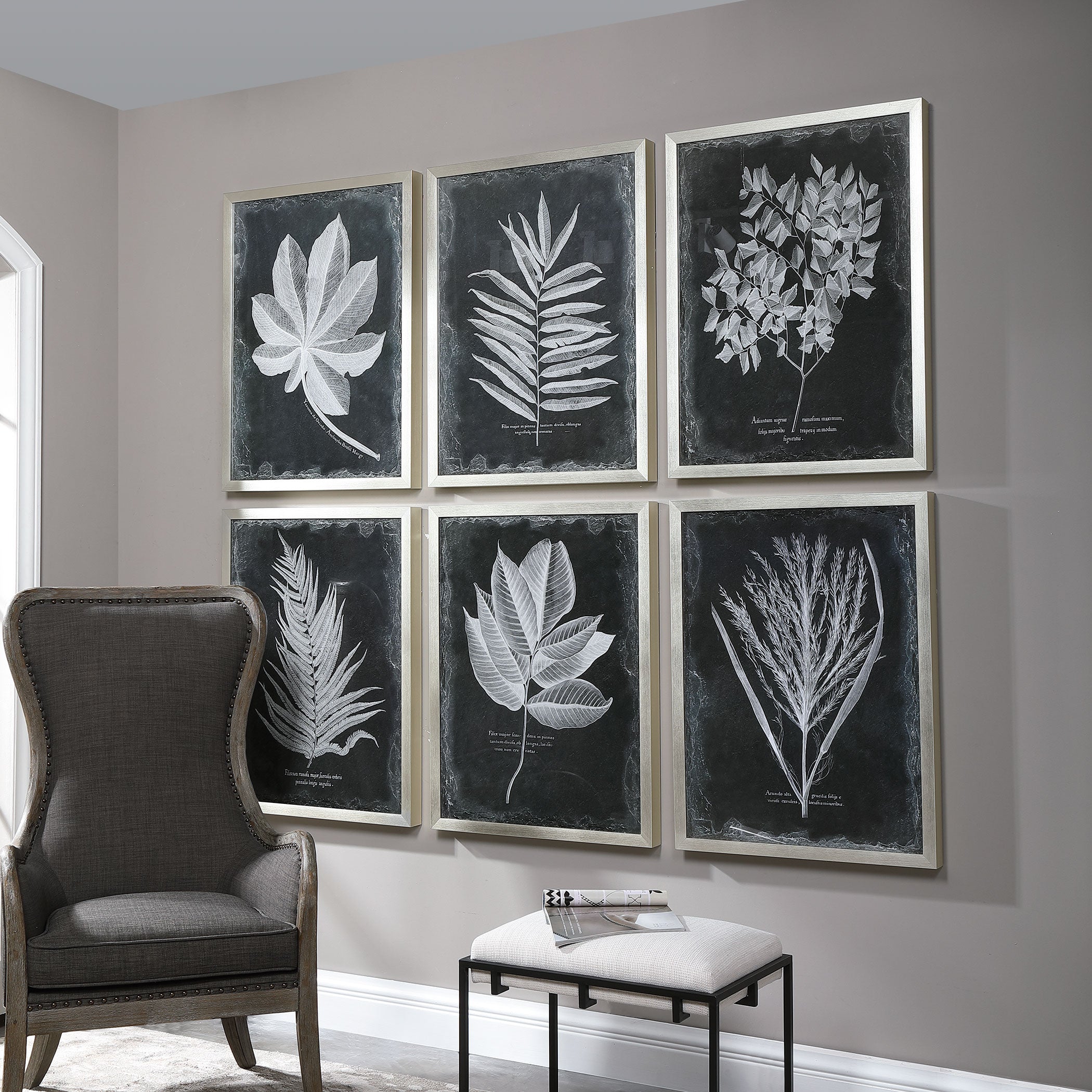 Foliage Framed Prints - Set of 6 by Uttermost