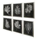 Foliage Framed Prints - Set of 6 by Uttermost
