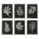 Foliage Framed Prints - Set of 6 by Uttermost