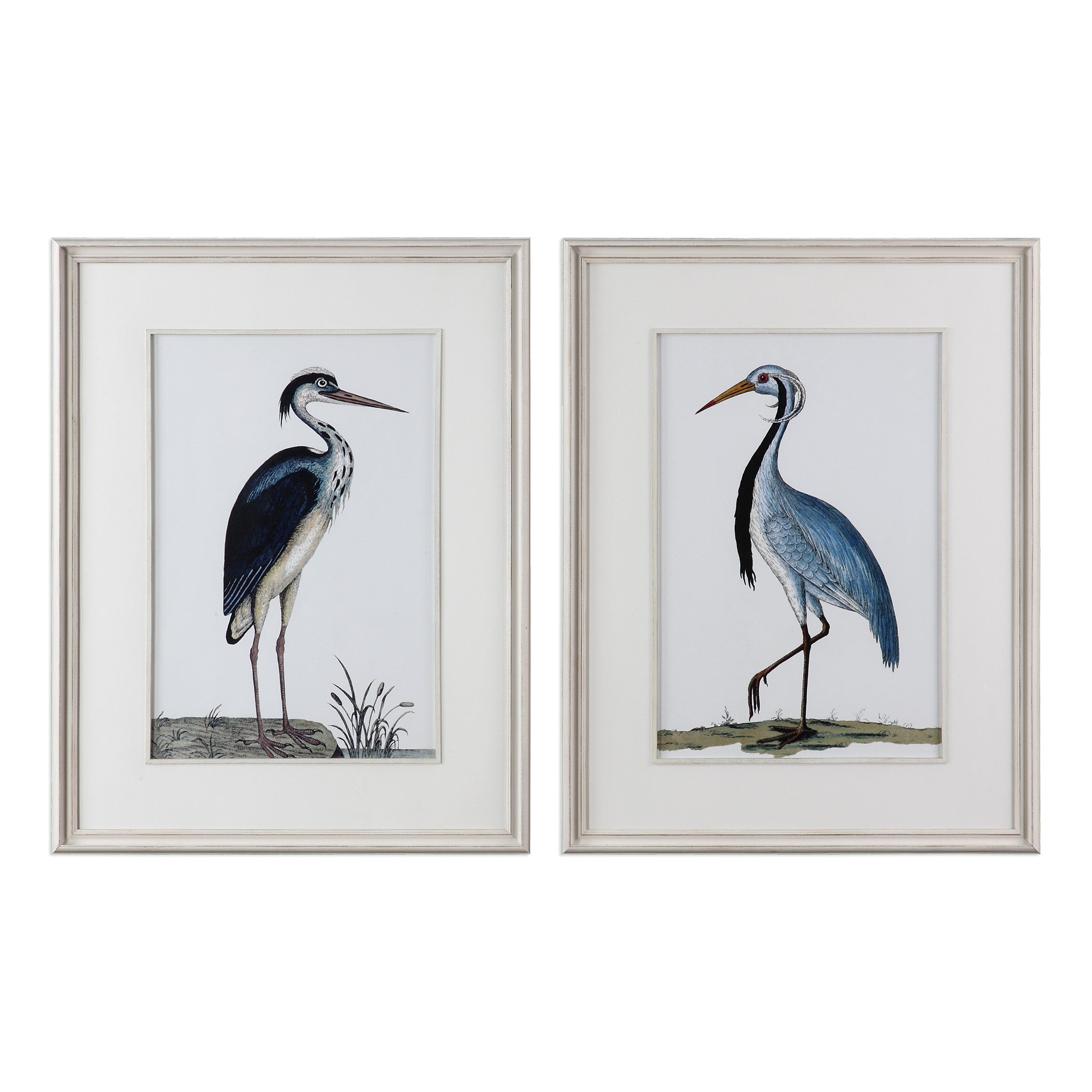 Shore Birds Framed Prints - Set of 2 by Uttermost
