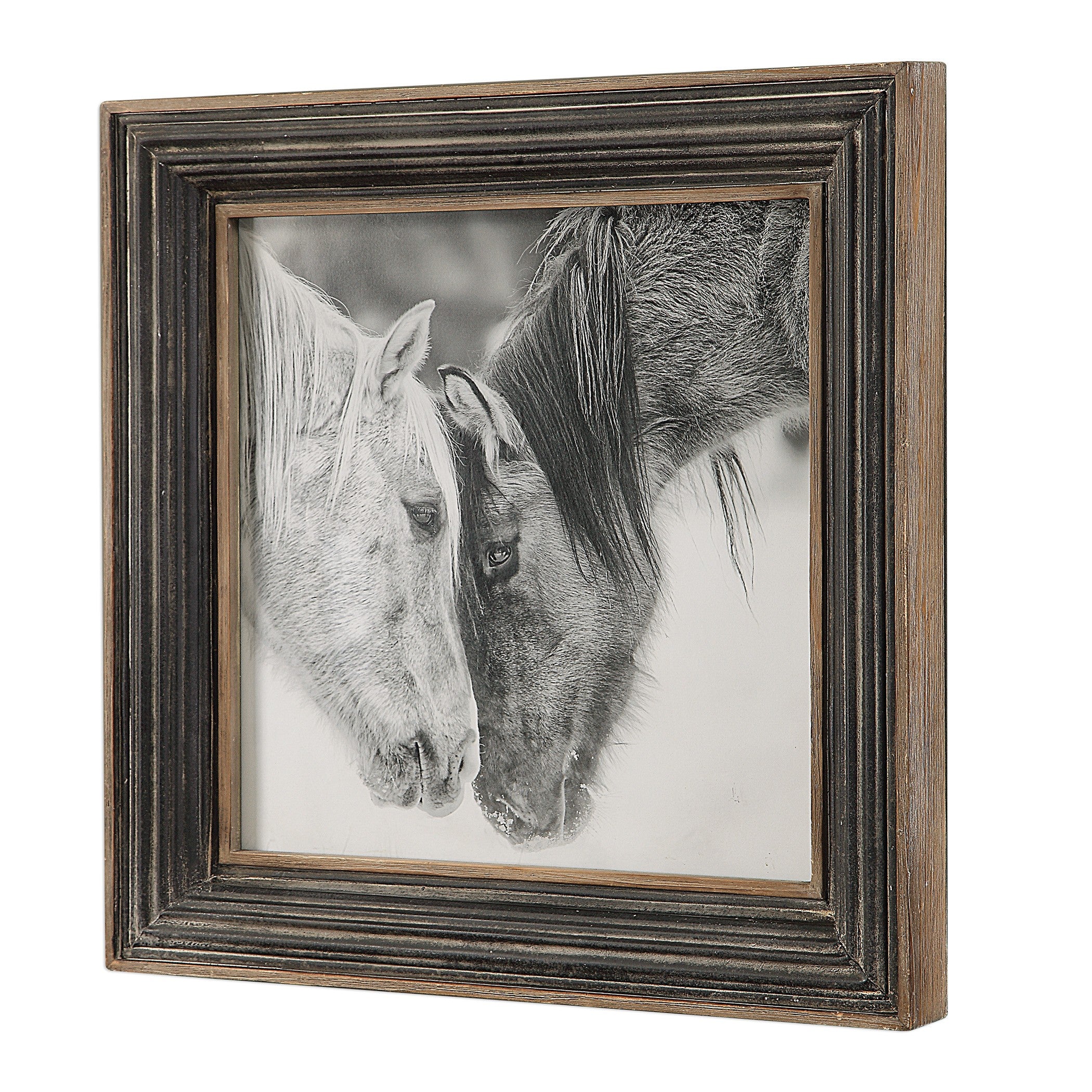 Horse Photography Framed Print in Black and White by Uttermost
