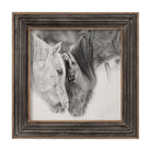 Horse Photography Framed Print in Black and White by Uttermost