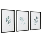 Simple Sage Watercolor Prints - Set of 3 by Uttermost