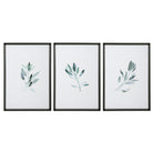 Simple Sage Watercolor Prints - Set of 3 by Uttermost