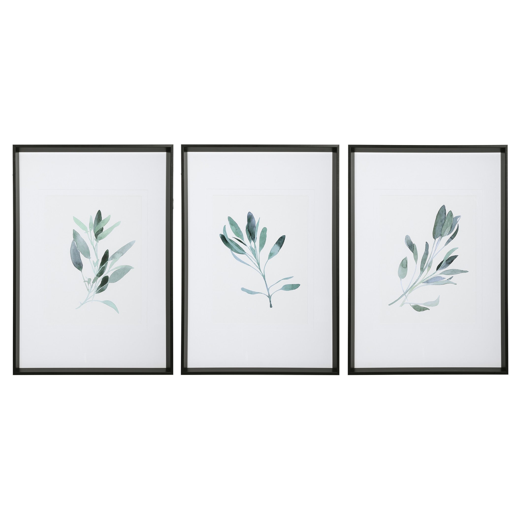 Simple Sage Watercolor Prints - Set of 3 by Uttermost