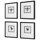 Anthophila Framed Prints - Set of 4 by Uttermost