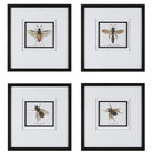 Anthophila Framed Prints - Set of 4 by Uttermost