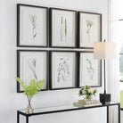 Forest Finds Framed Prints - Set of 6 by Uttermost