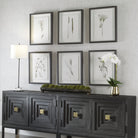 Forest Finds Framed Prints - Set of 6 by Uttermost