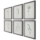 Forest Finds Framed Prints - Set of 6 by Uttermost