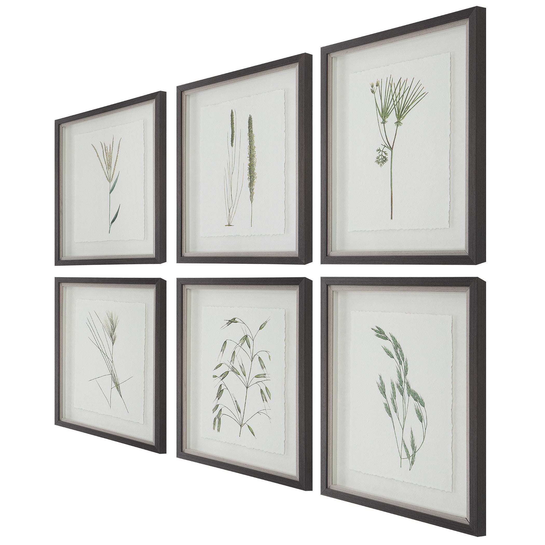 Forest Finds Framed Prints - Set of 6 by Uttermost