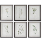 Forest Finds Framed Prints - Set of 6 by Uttermost